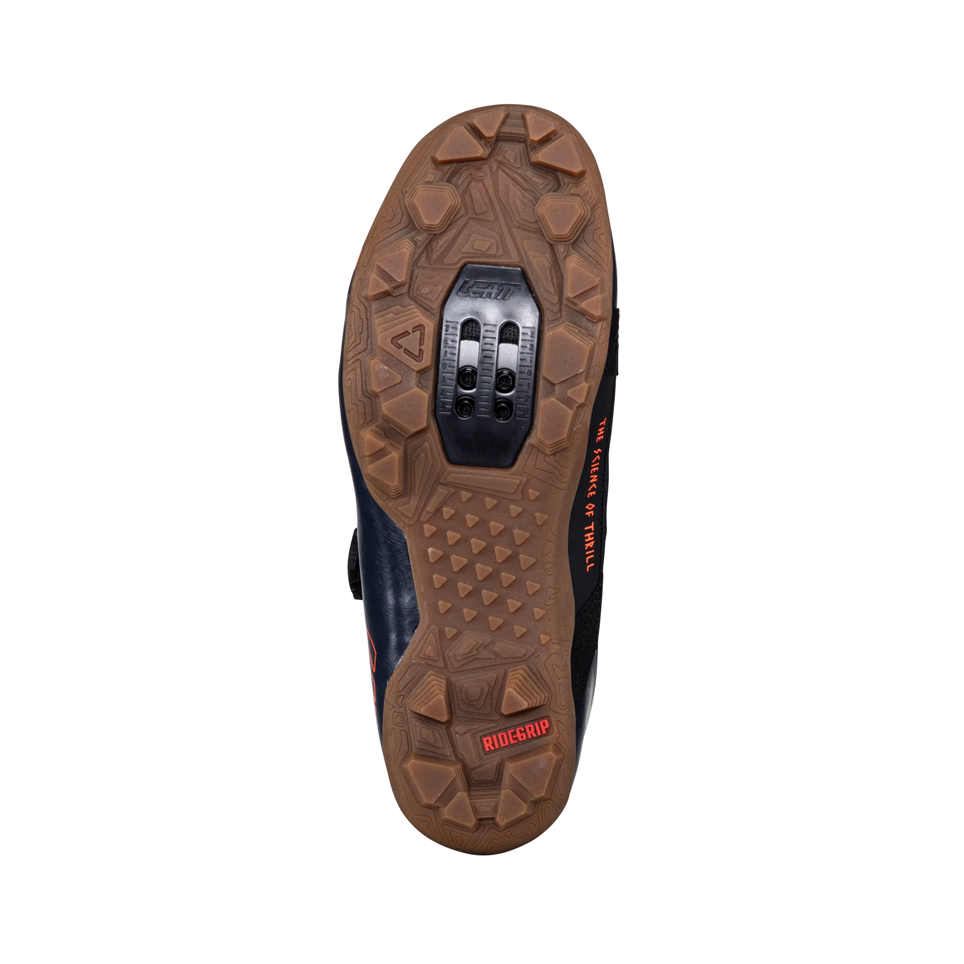 Shoes ProClip 8.0 Endurance - Women - Image 5